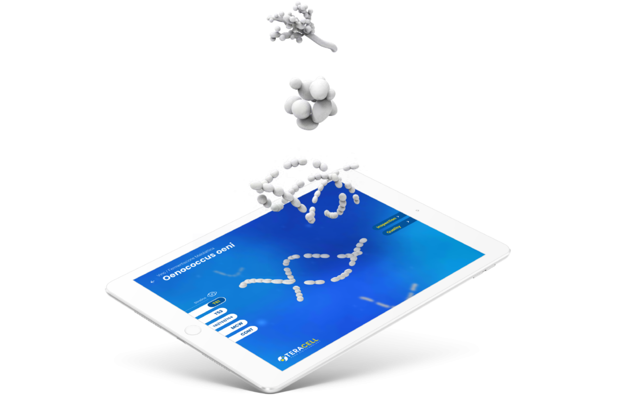 Teracell - Food Biotechnology